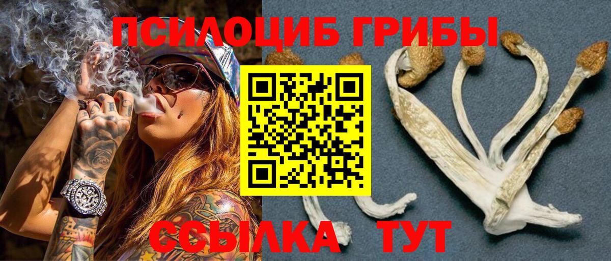 Ликино-Дулёво  Галлюциногенные грибы GOLDEN TEACHER  Вход с VPN 